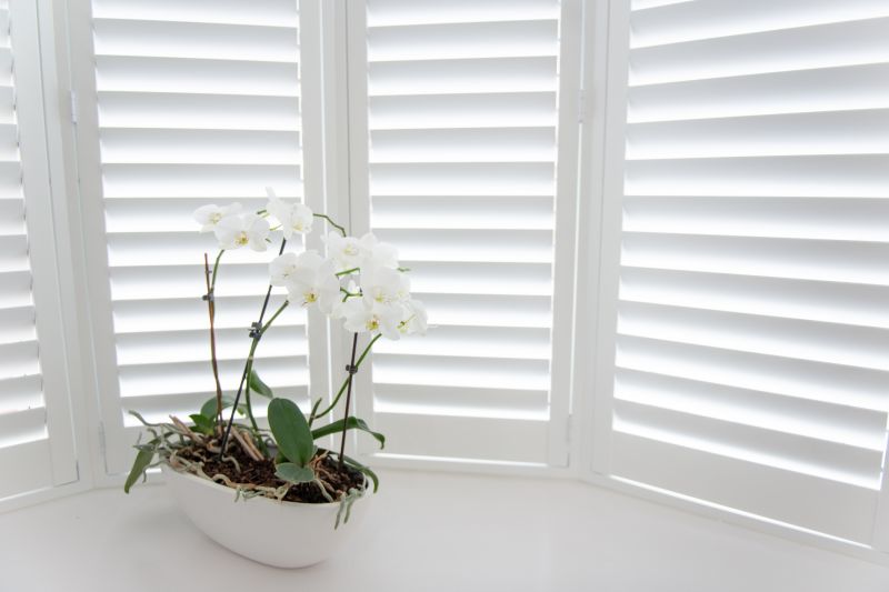 Shutter Mounting in Olathe, KS