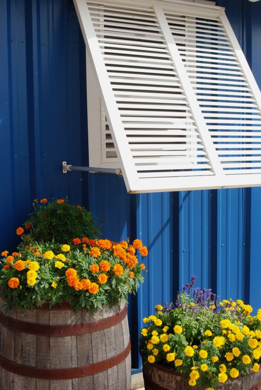 Window Shutters Replacement in Richmond, VA